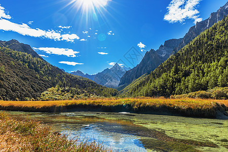 秋天九寨沟稻城亚丁景区背景