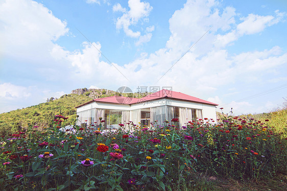 鲜花房屋图片