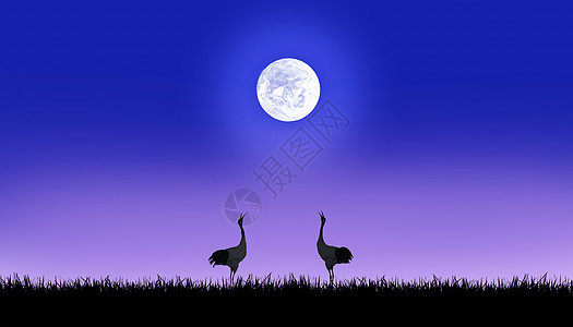月光下的仙鹤背景图片