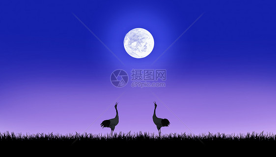 月光下的仙鹤图片