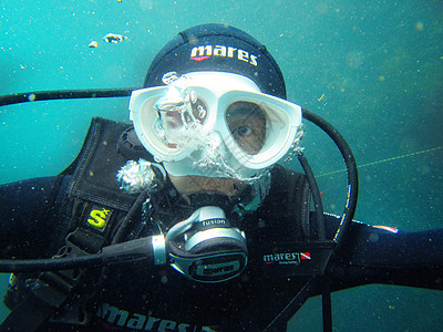 深海鲍鱼韩国济州岛岛潜潜水背景