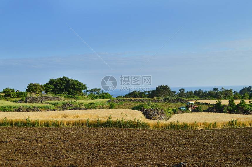 韩国济州岛乡间田野自然风光图片