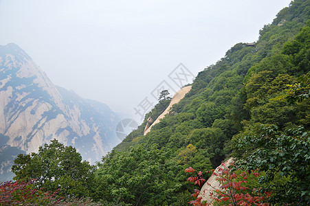 陕西西岳华山自然风光图片