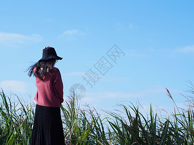 草丛小清新背景看海的女孩背景