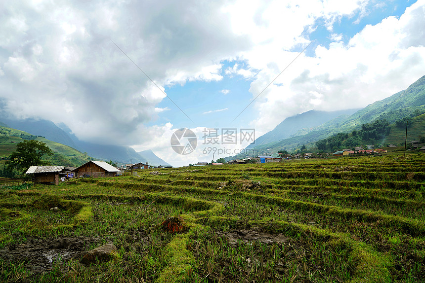 越南沙坝Sapa山地梯田图片