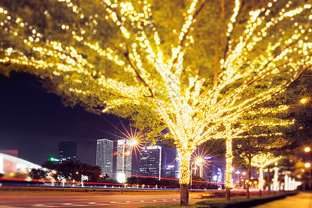 灯串背景路边被灯串装扮的树城市夜景背景