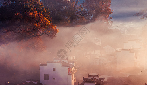 秋色婺源婺源石城秋色山村晨雾景观背景