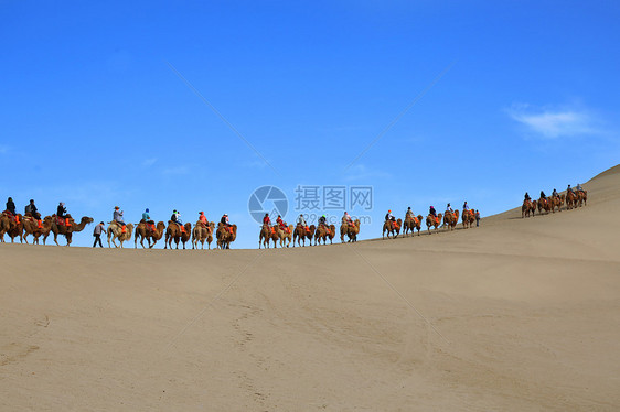 敦煌鸣沙山驼队行走沙漠中图片