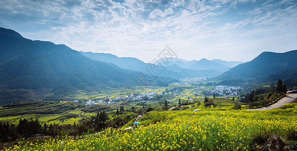 春天自然风景江西婺源春季油菜花田背景