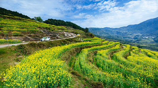 江西婺源春季油菜花田高清图片