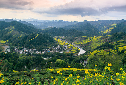 婺源油菜花风景江西婺源春季油菜花田背景