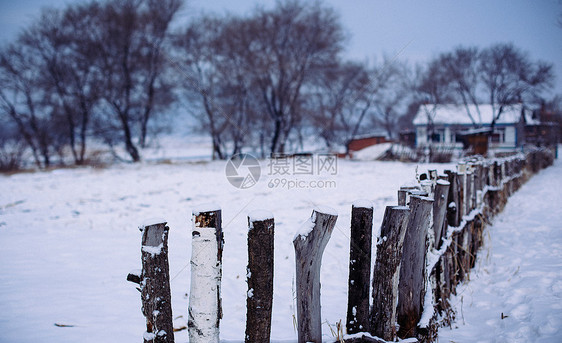 冬天美丽的雪景木篱笆图片