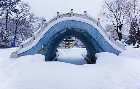 冬天浪漫的雪景中的桥图片