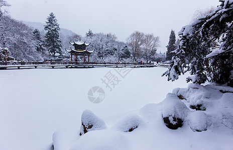 浪漫雪景冬天浪漫的雪景背景