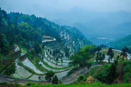 江南梯田灌水季节背景