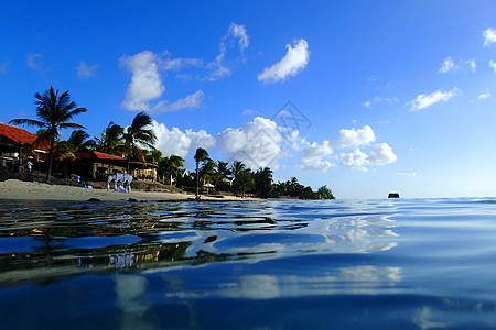 毛里求斯滨海浮潜背景