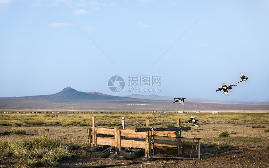 秋天草原上的美丽景色图片