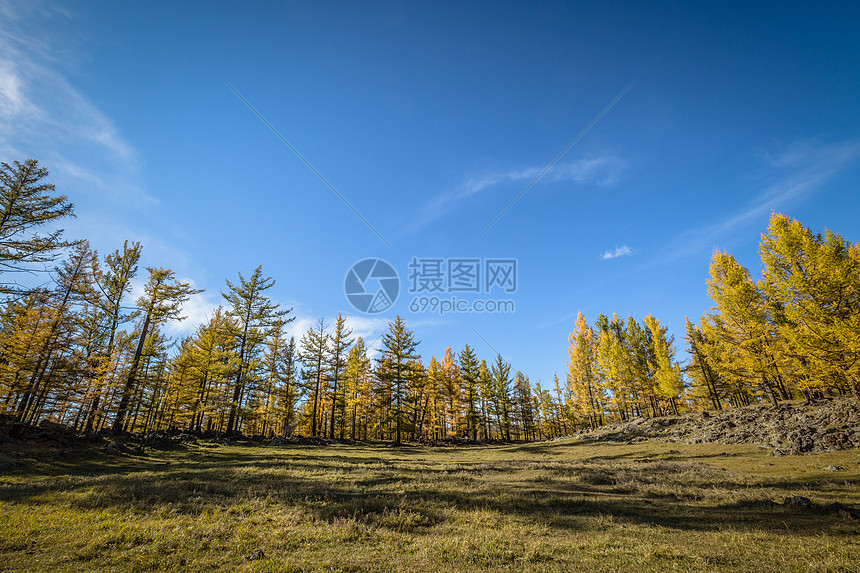 大草原上灿烂秋色图片