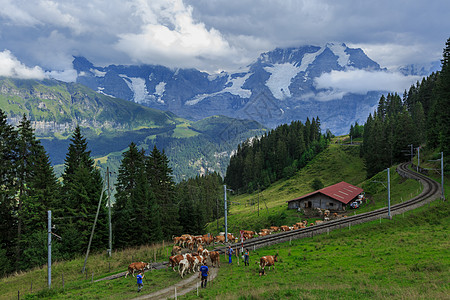 瑞士旅游  瑞士湖光山色 瑞士风景高清图片