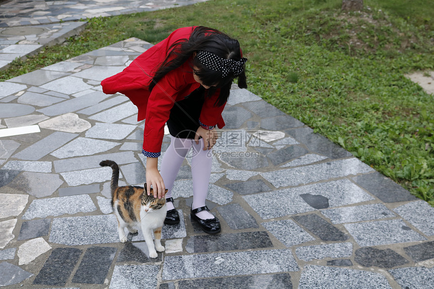 小女孩与小猫