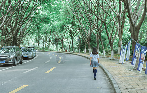 校园小清新学生背影图片