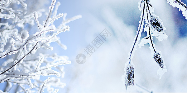 瑞雪霜降设计图片