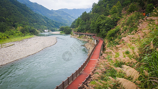 河道边的绿道步行道背景图片