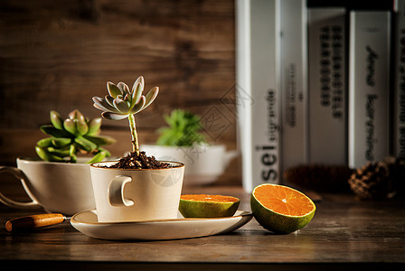 马克杯壁纸水果和植物背景