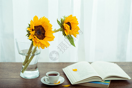 向日葵花瓶午后读书阅读时光背景