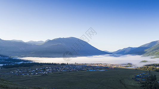 雪天里松树林新疆喀拉斯旅游美景美图背景