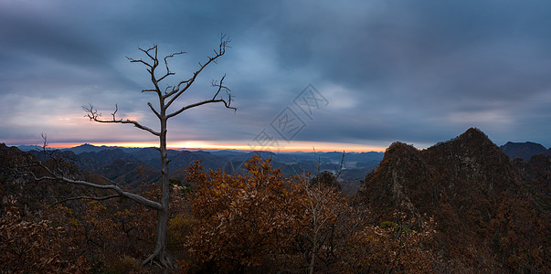 一览众山小天门山风景图片