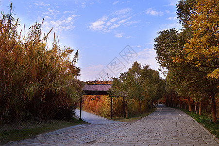 湿地公园常熟沙家浜风景区背景