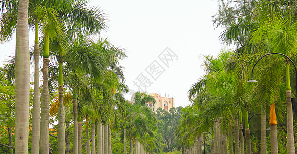 学院厦门大学背景