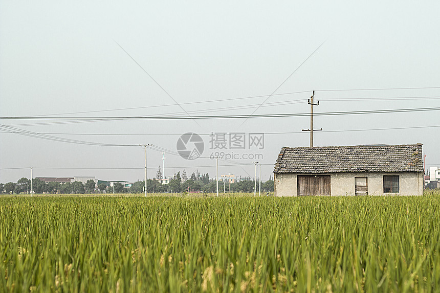 田园生活图片