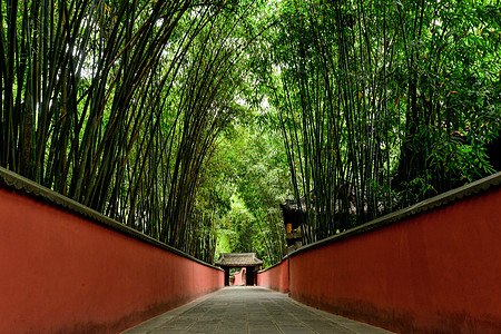 铁艺围墙成都杜甫草堂内的红墙竹林背景