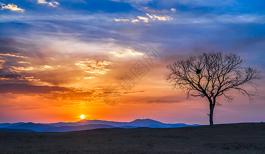 冬季的乌兰布统夕阳风光图片