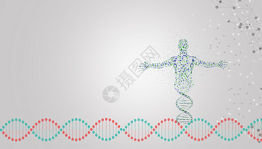 人体机能DNA基因分子设计图片