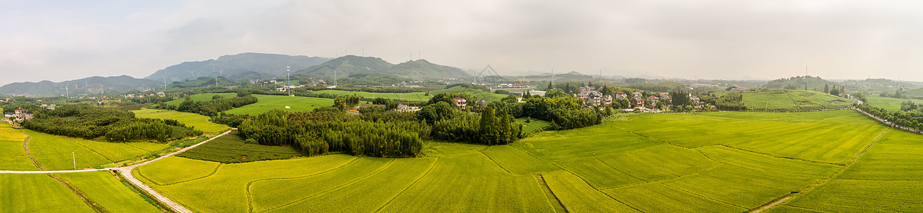 俯瞰田野航拍田野背景