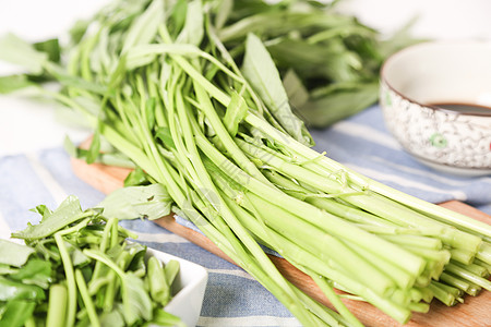 空心菜蔬菜枝藤高清图片