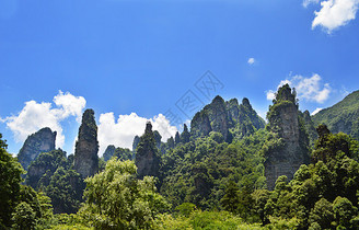 张家界十里画廊风景区图片