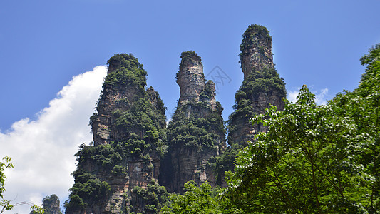 张家界十里画廊三姐妹峰背景