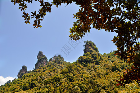 十里画廊风景区张家界十里画廊风景照片背景