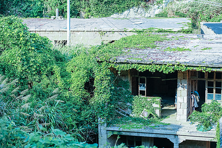 岛上民宿东极岛某墙上长满草的房屋背景