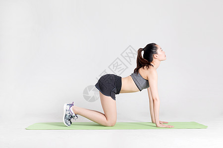肢体训练运动健身女性腰腹力量训练背景
