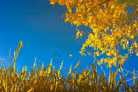 洱海倒映秋天的色彩图片
