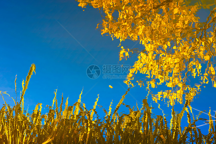 洱海倒映秋天的色彩图片