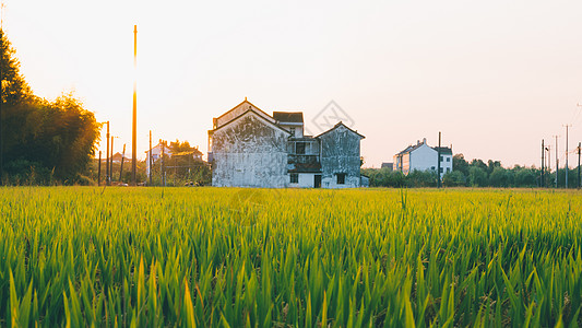 阳光下的房子夕阳下的村庄与田野背景