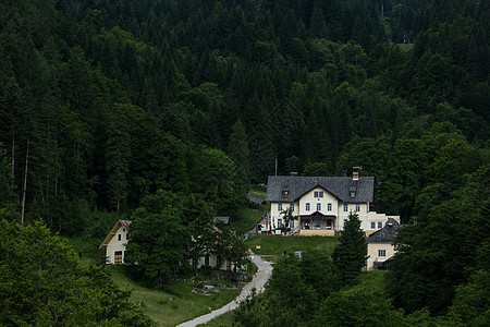 山林中的一栋古堡酒店背景图片