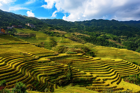 广西美景梯田田园风光背景