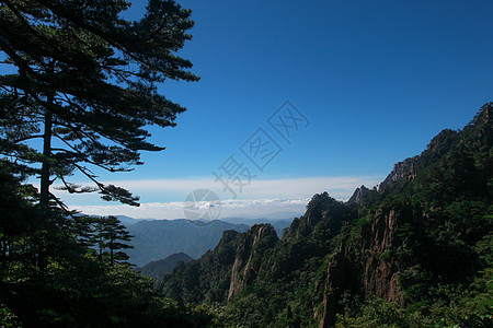 登高远望男人安徽黄山背景